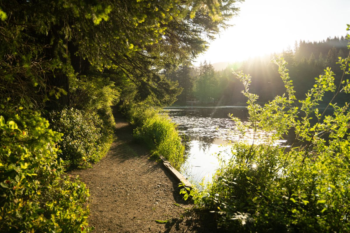 The Lake Louise Walking Trail is Perfect for Dog Walks