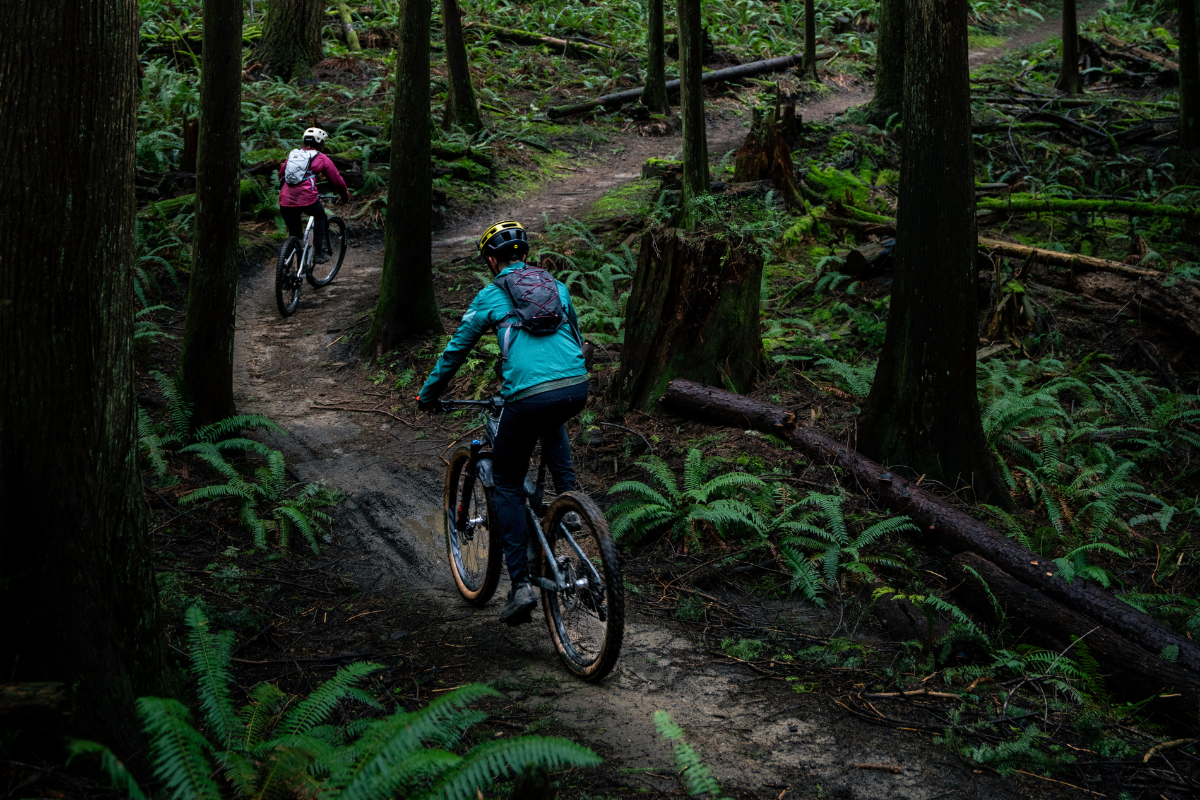 Mountain Biking in Bellingham, WA and the Pacific Northwest
