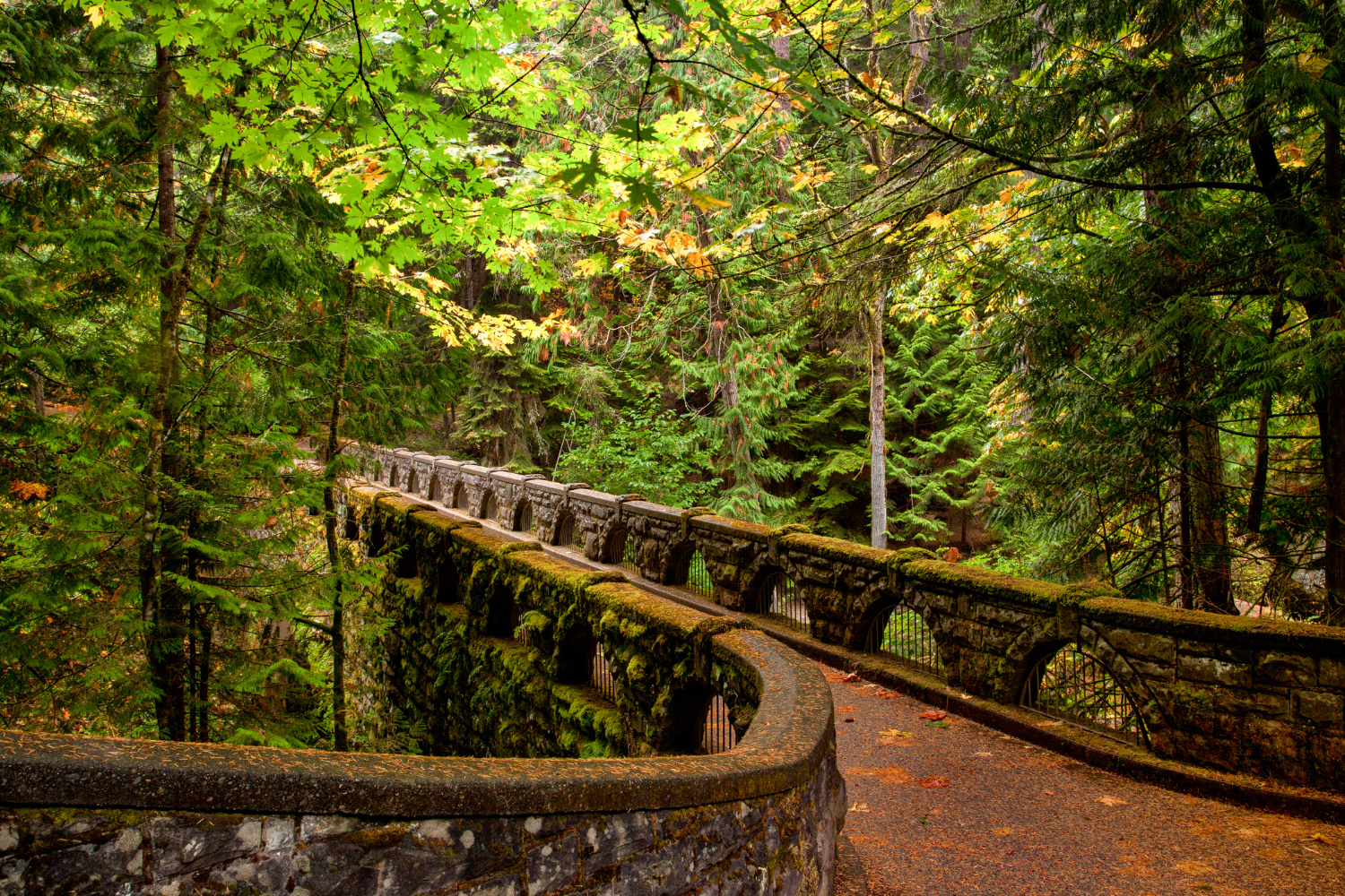 Whatcom Falls bridge in Bellingham, WA surrounded by fall trees and leaves