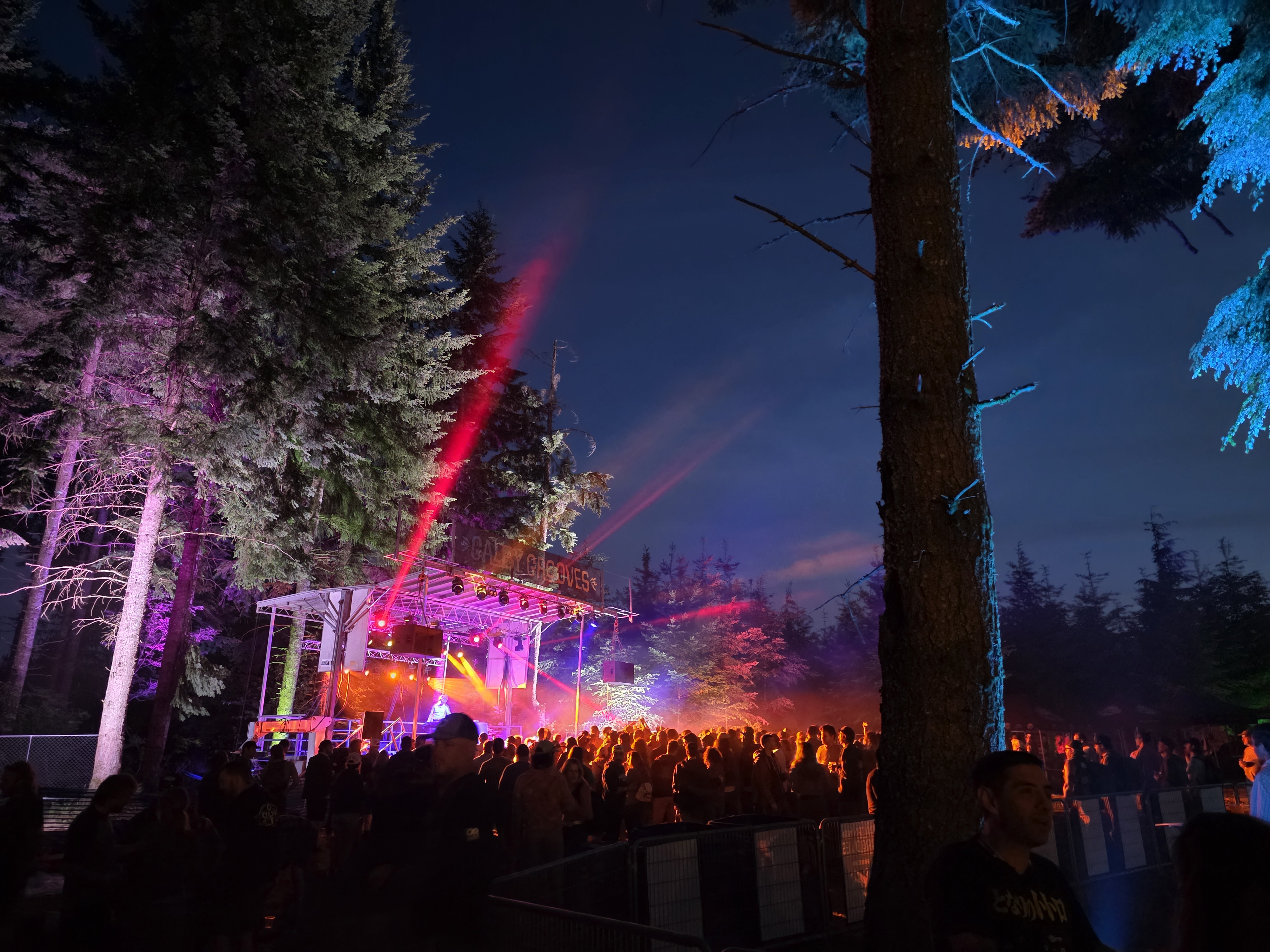 Summer Concerts in Bellingham to Add to Your Schedule header image.