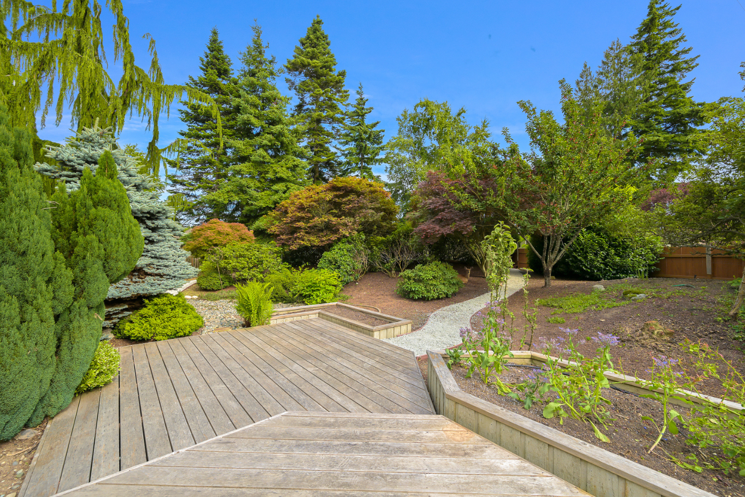 A lovely landscaped garden and patio