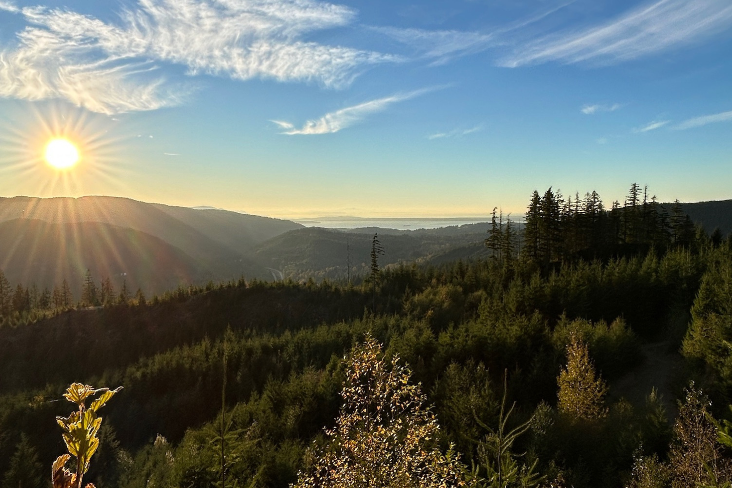 Image of a stunning mountain biking trail at Galbraith Mountain