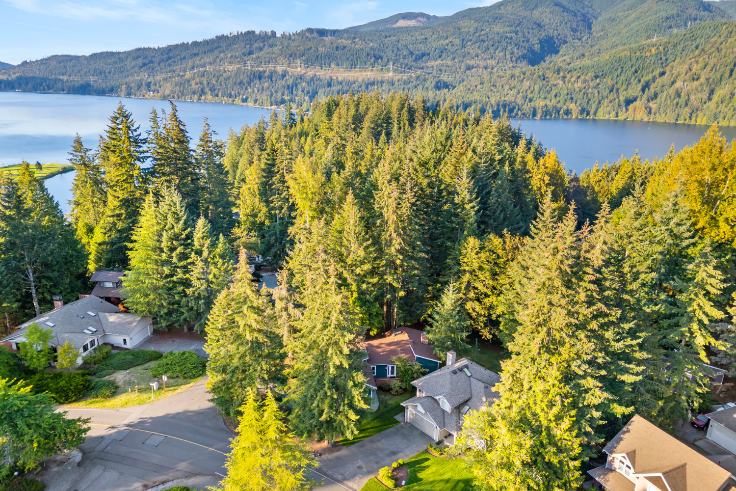 An arial shot of homes in the Pacific Northwest 