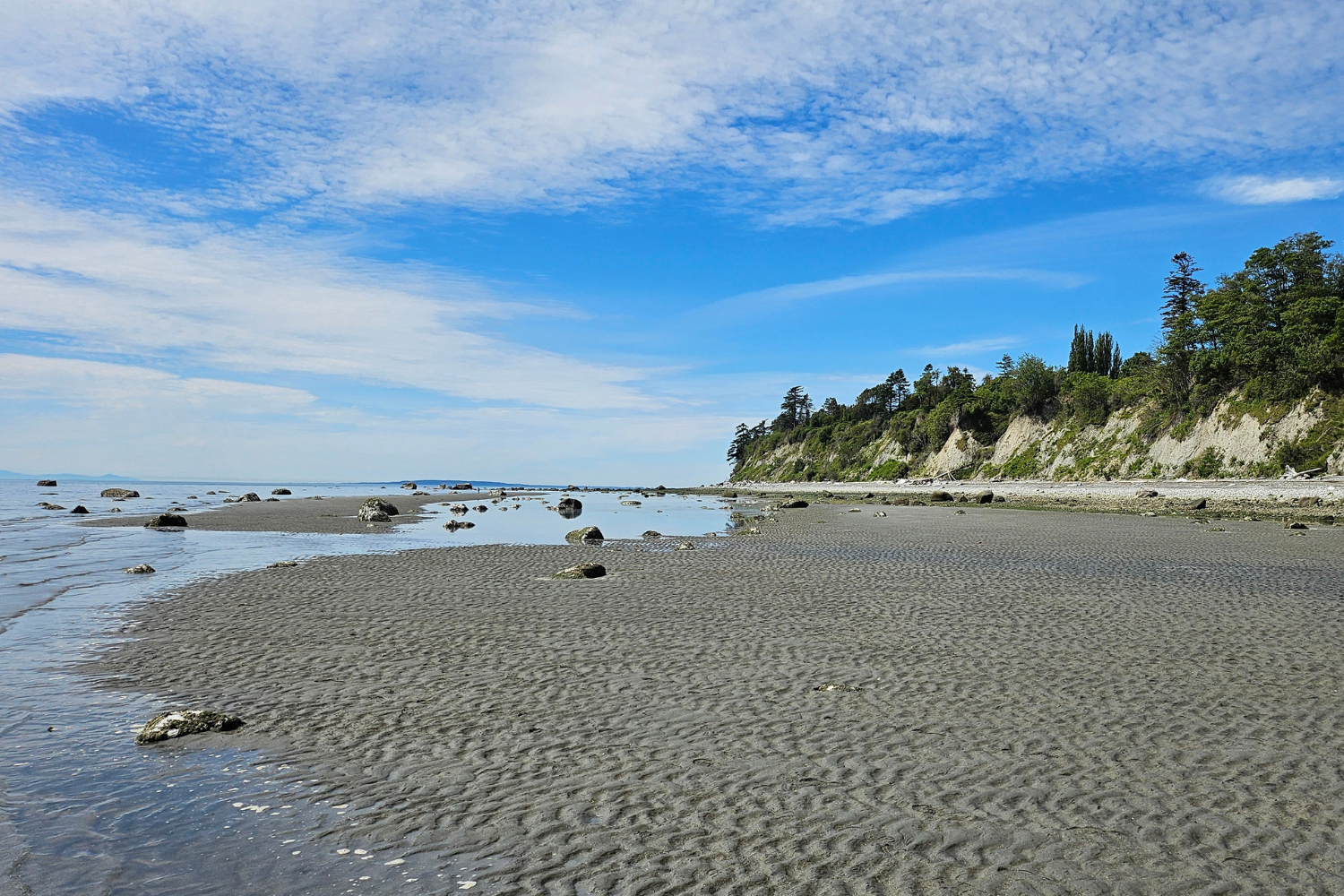 Point Whitehorn Beach in Birch Bay, WA