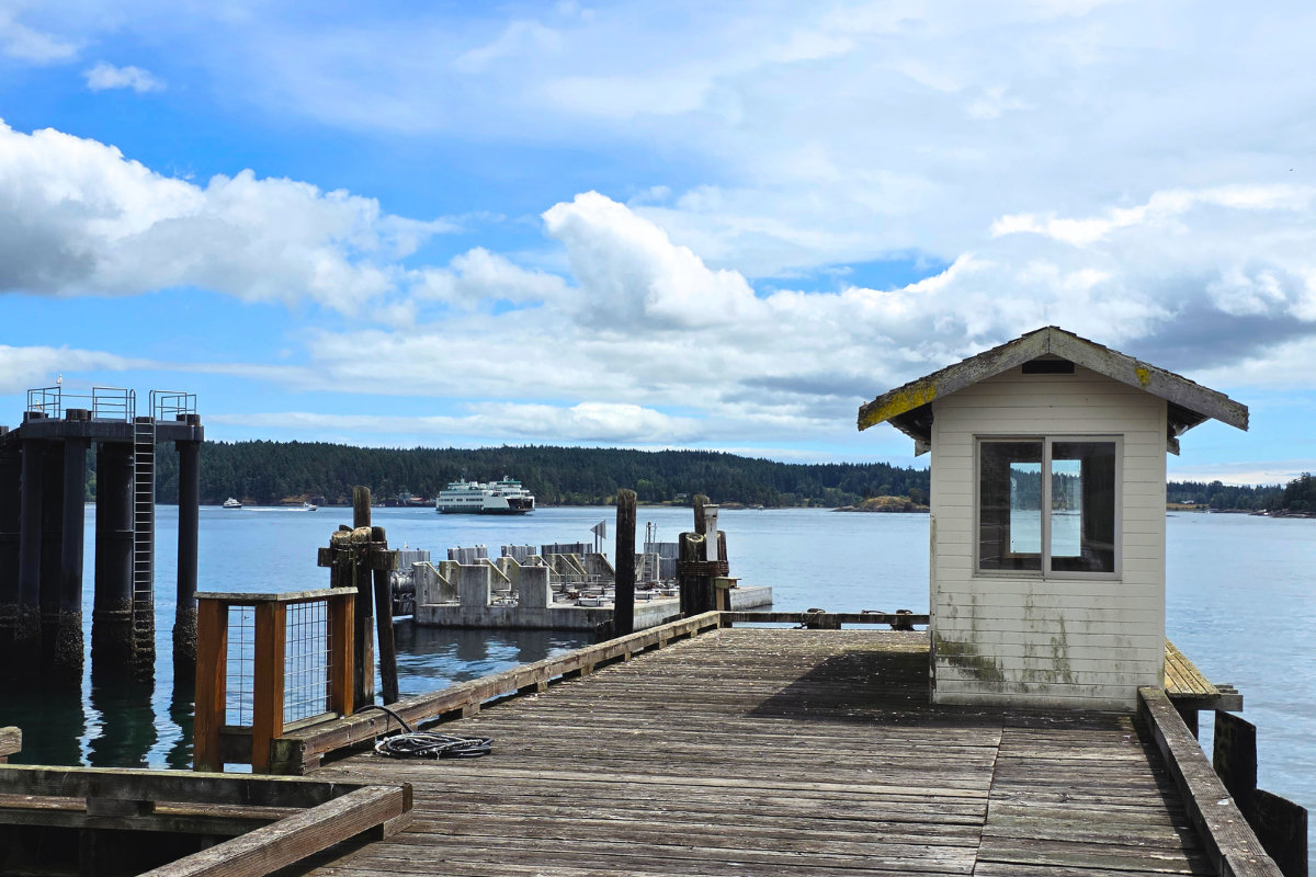 Catch the Ferry from Anacortes to Orcas Island and Keep and Eye Out for Wildlife