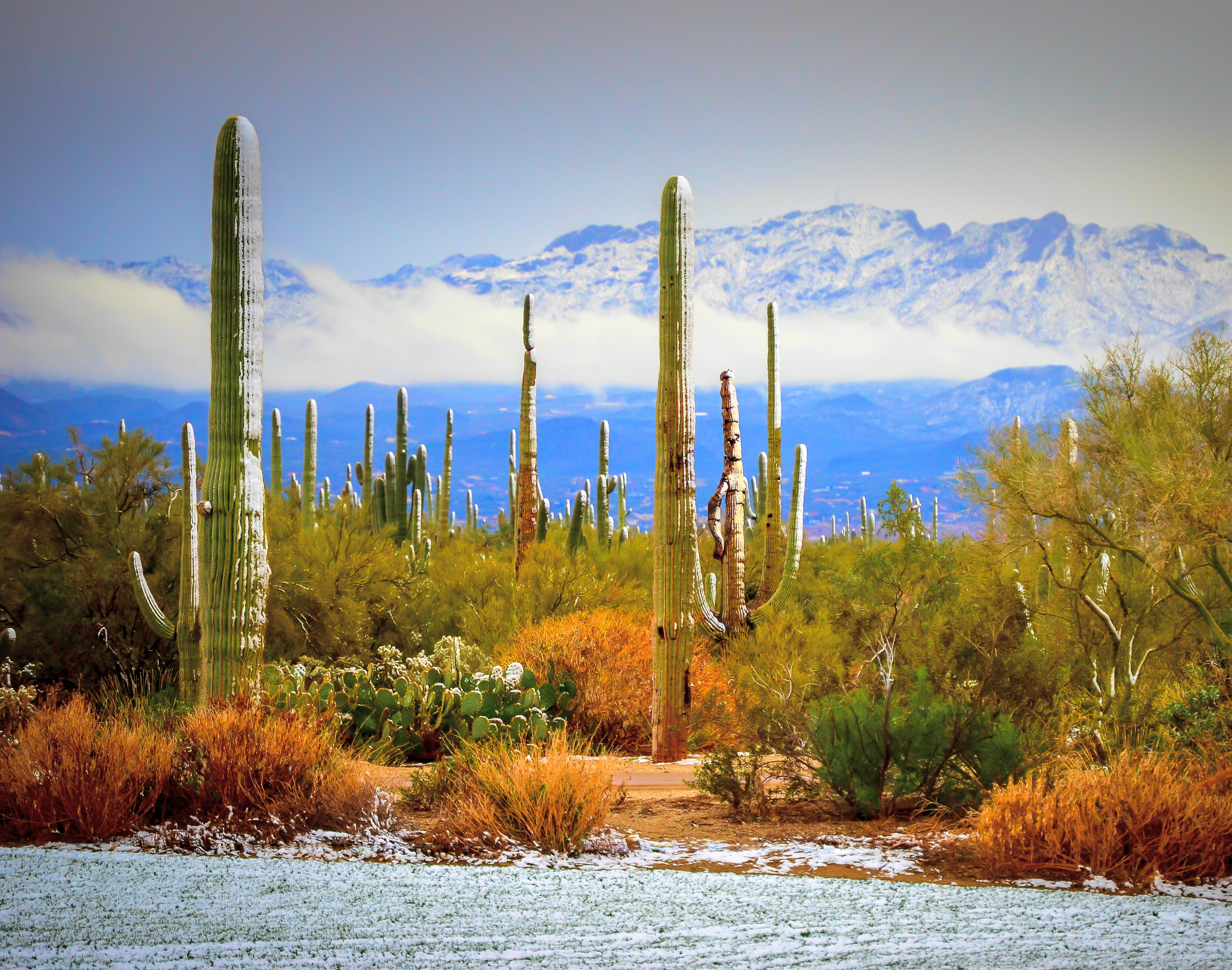 Top Questions About Selling Your Home This Winter header image.