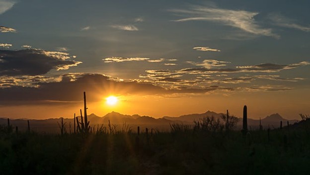 Give Thanks in Tucson — A Holiday with Heart & Desert Charm header image.