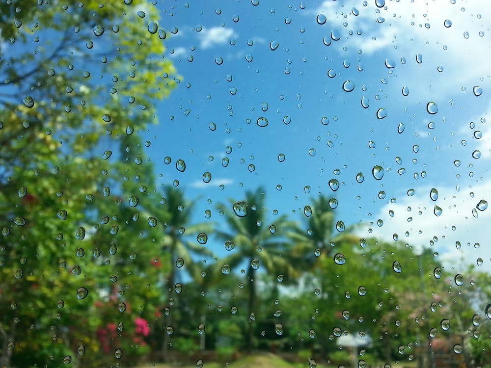 Spring has Sprung...Tips on how to be HAPPY despite rainy days! header image.