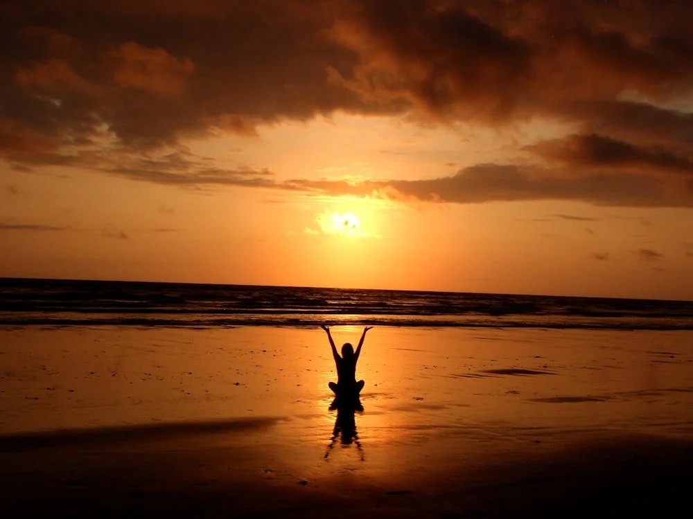 NEW YEAR - NEW YOU! Reduce Your Stress & Chaos! header image.
