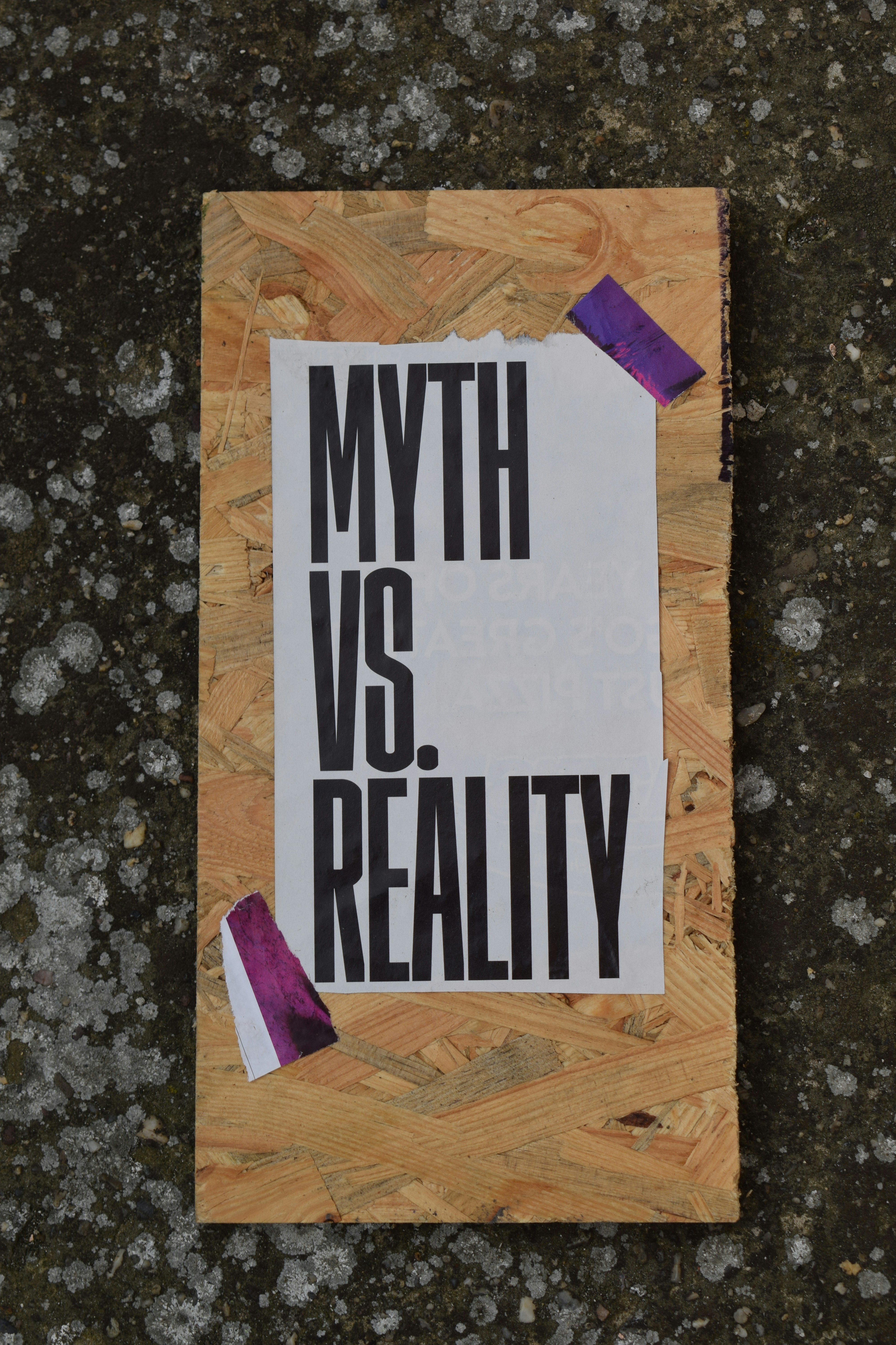 Real Estate Mythbusting header image.