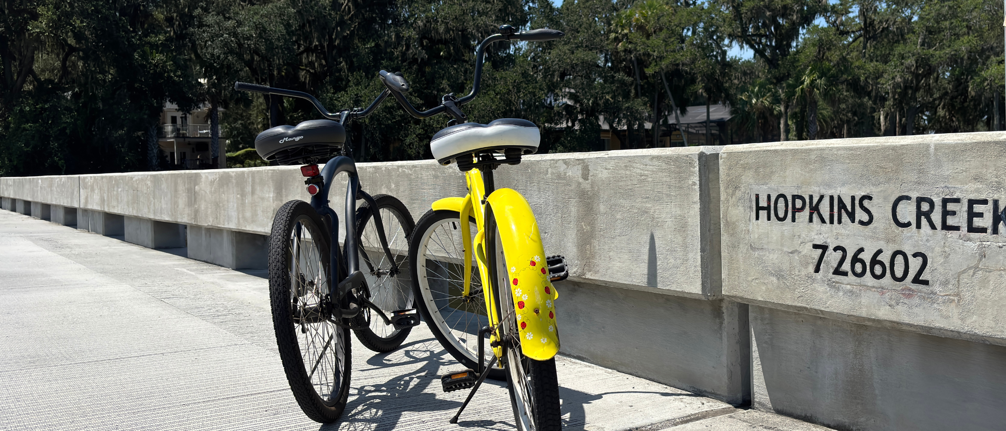 Beach cruisers on the Hopkins Creek bridge in Jacksonville Beach, Florida