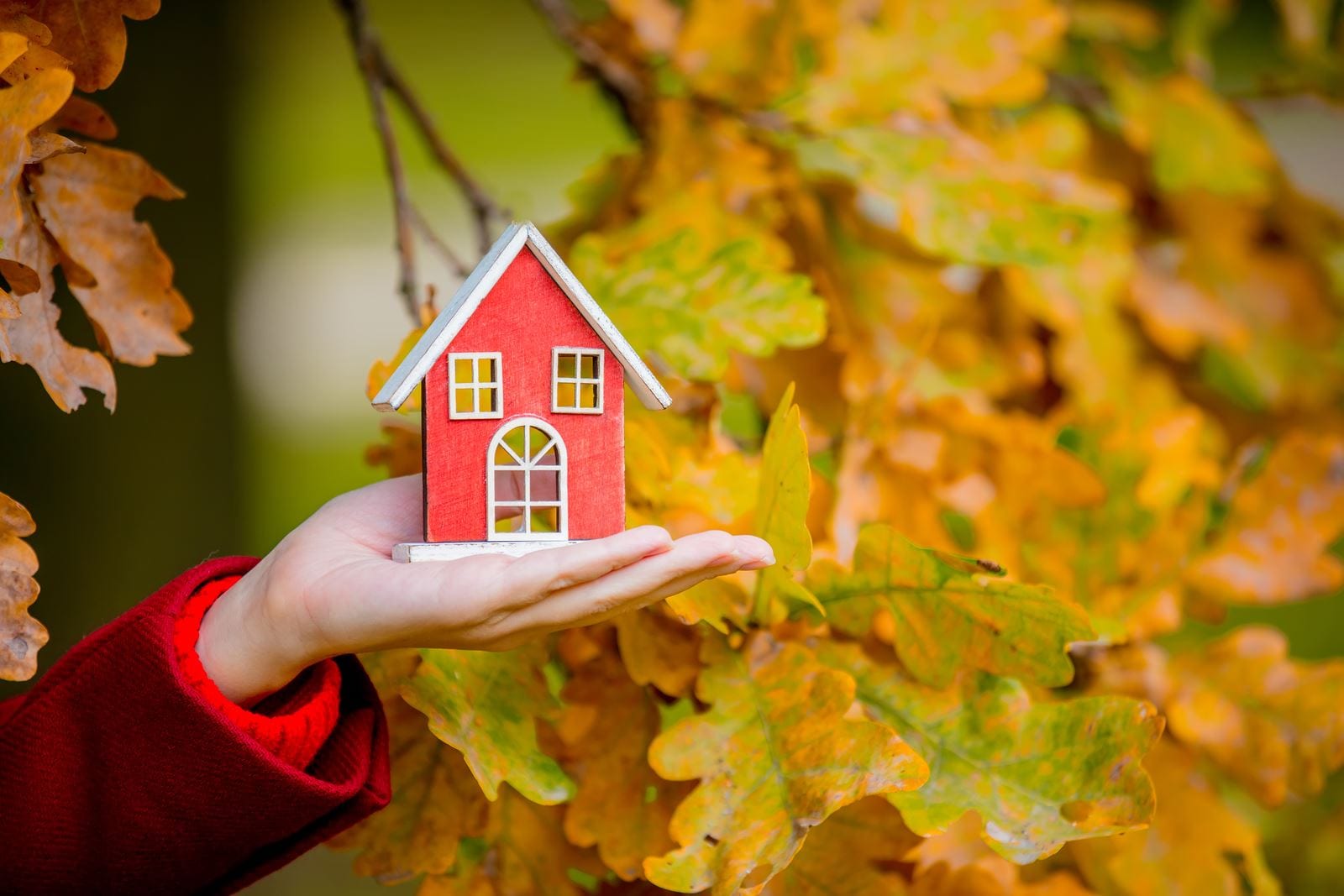 Fall Home Selling Checklist [INFOGRAPHIC] header image.
