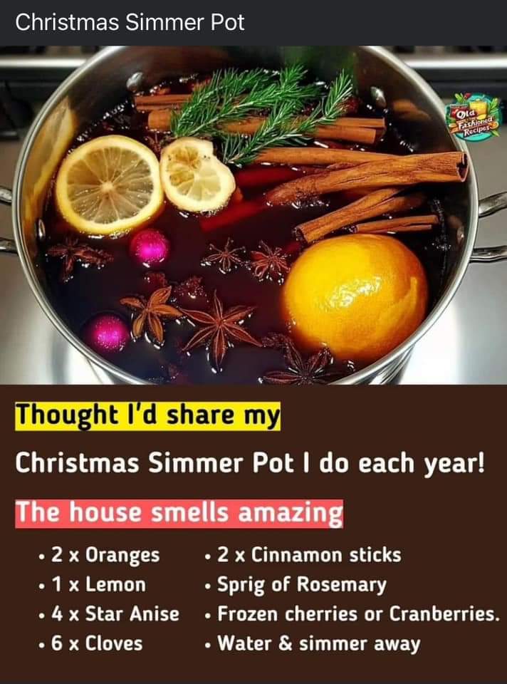Recipe for the best Holiday Simmer Pot!!! header image.