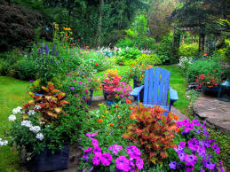 picture of flowers