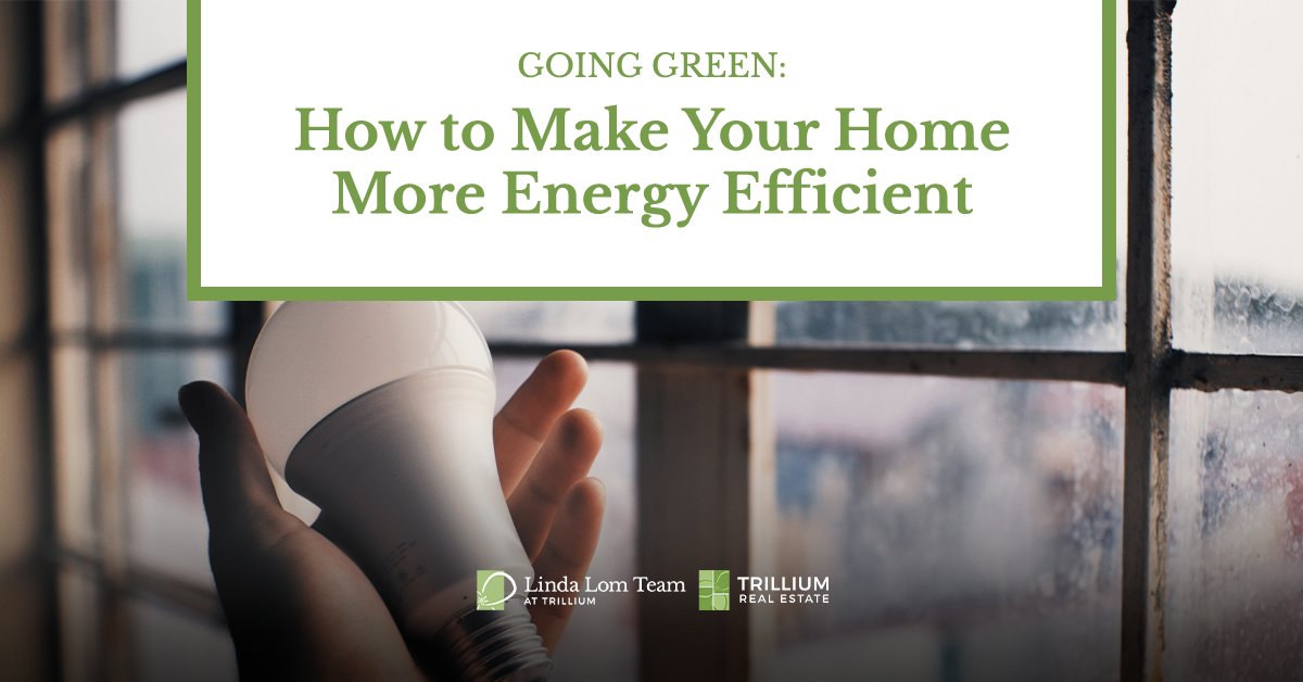 Going Green: How To Create an Energy-Efficient Home