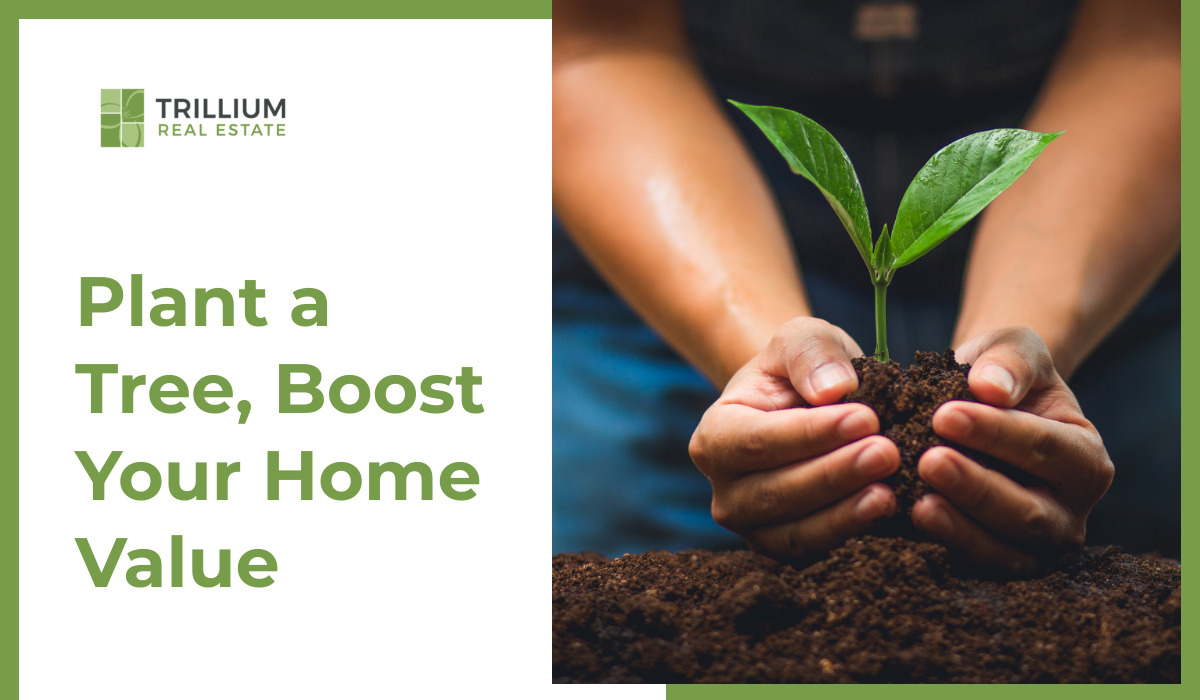 Plant a Tree, Boost Your Home Value
