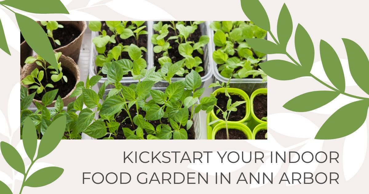Kickstart Your Indoor Food Garden in Ann Arbor