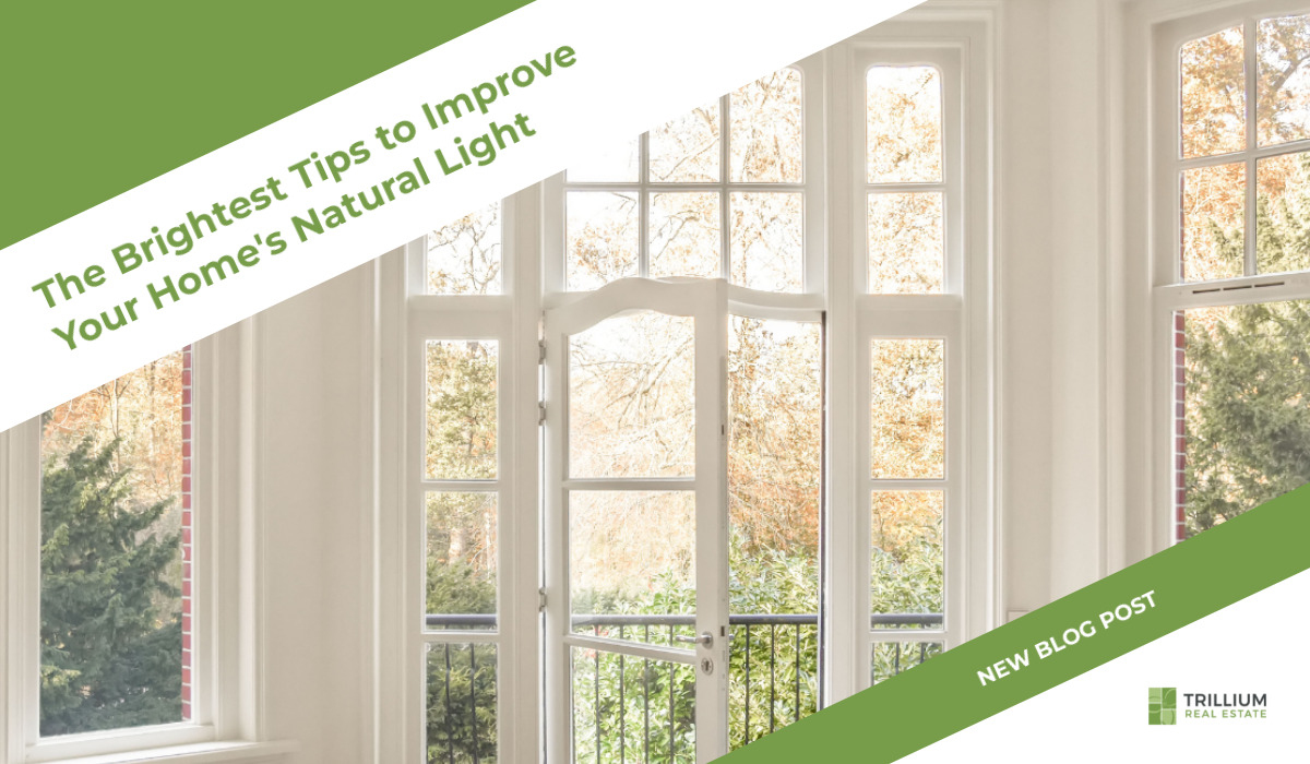 The Brightest Tips to Improve Your Home's Natural Light