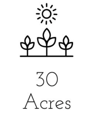 30 Acres - Small Business Partner Spotlight header image.