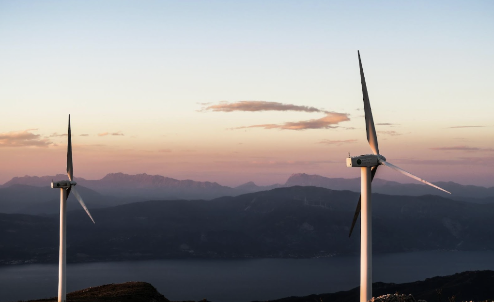 Allen Construction - Biomimicry is Improving Electrical Wind Generation header image.