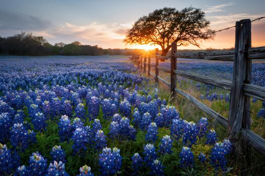 Why Relocating To Texas Is A Smart Move header image.