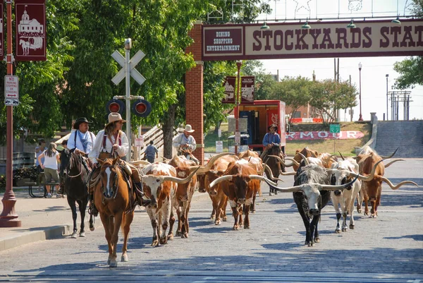 Summer fun in Dallas/Fort Worth Area header image.