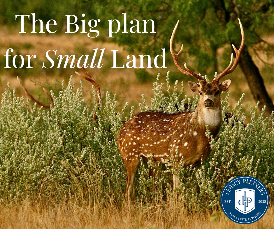 Big Plan Small Land header image.