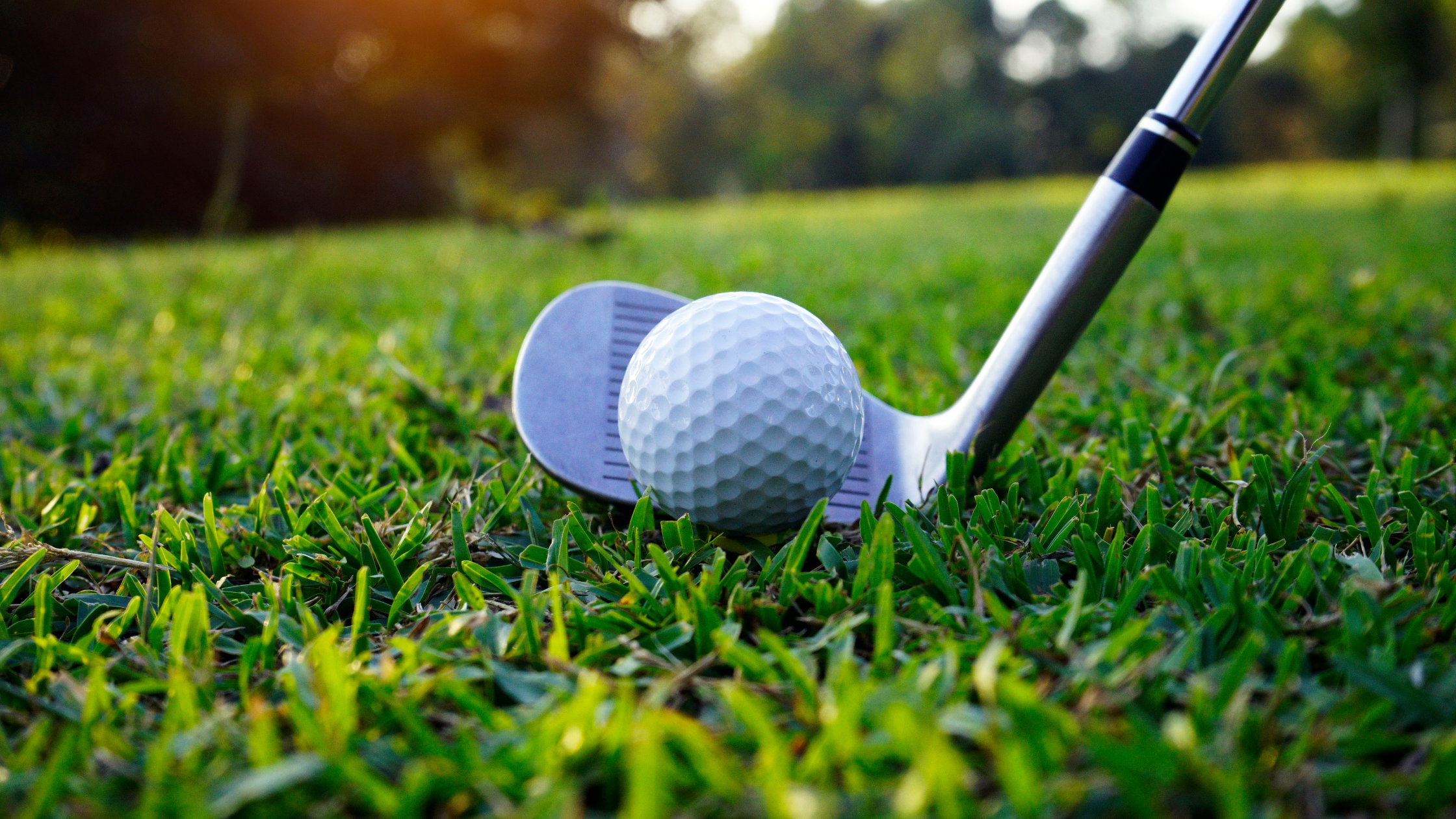 Fairway Focus: New Bern header image.