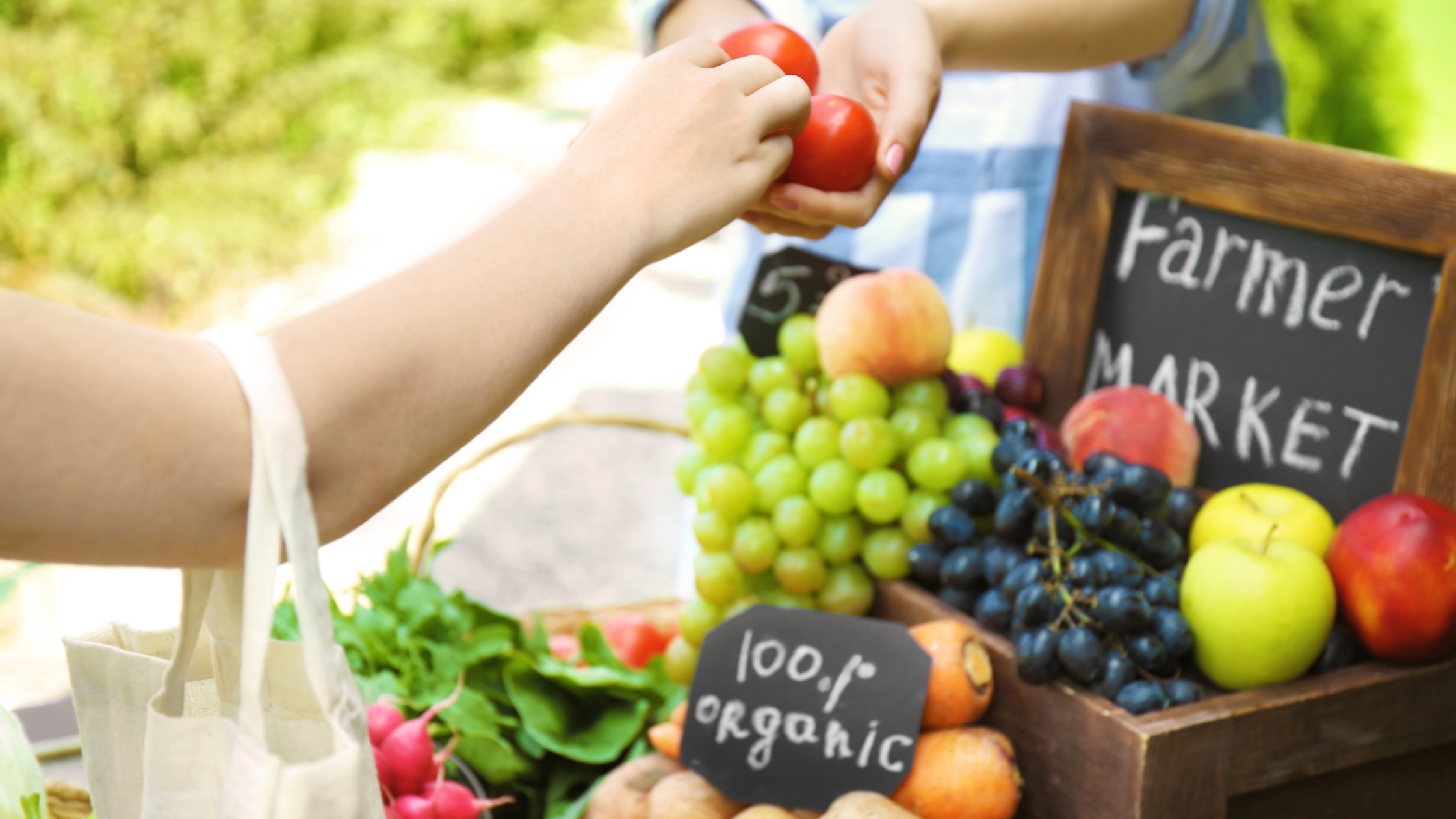 Living Local: The New Bern Farmers Market header image.