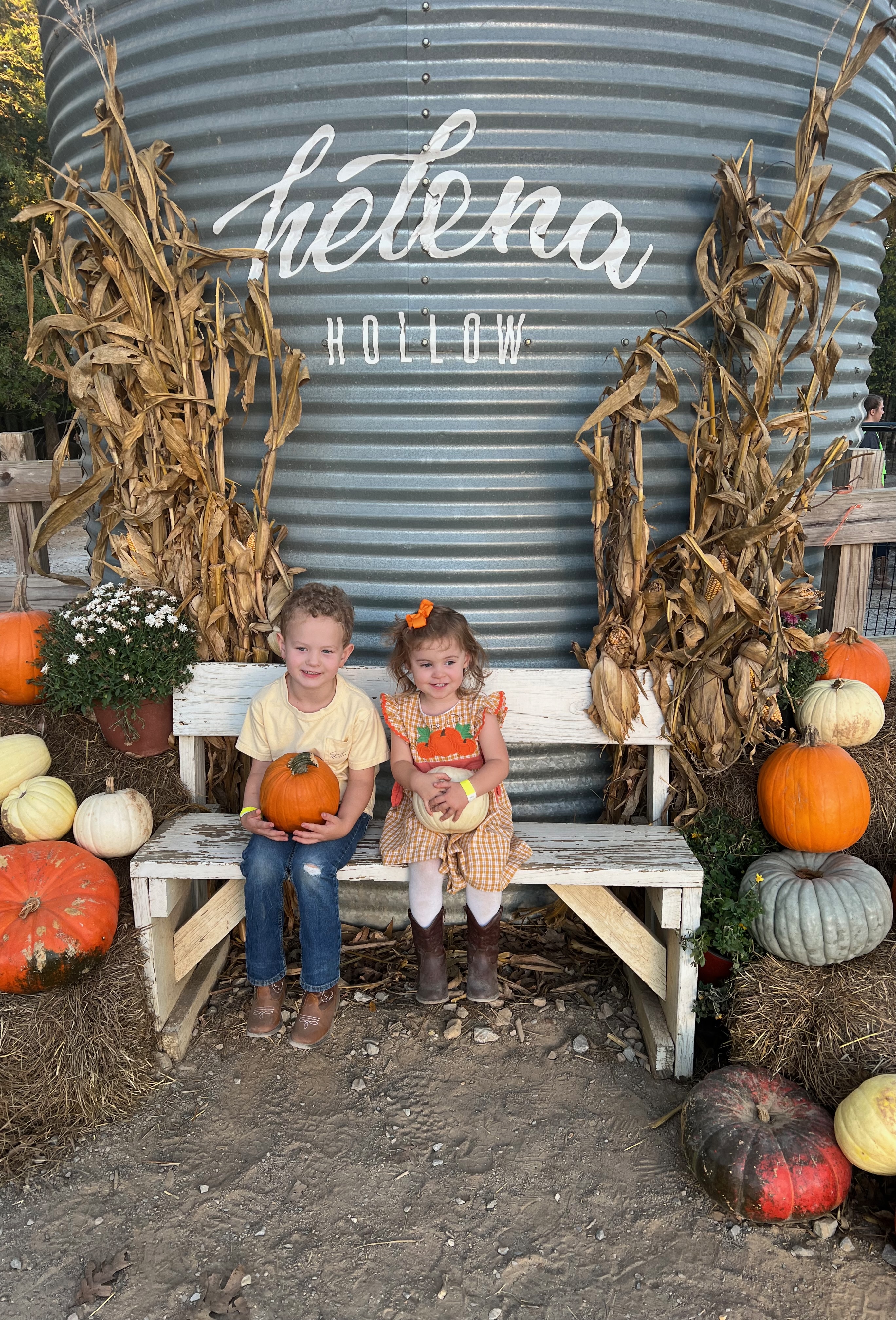 Finding the Best Pumpkin Patch in Birmingham header image.