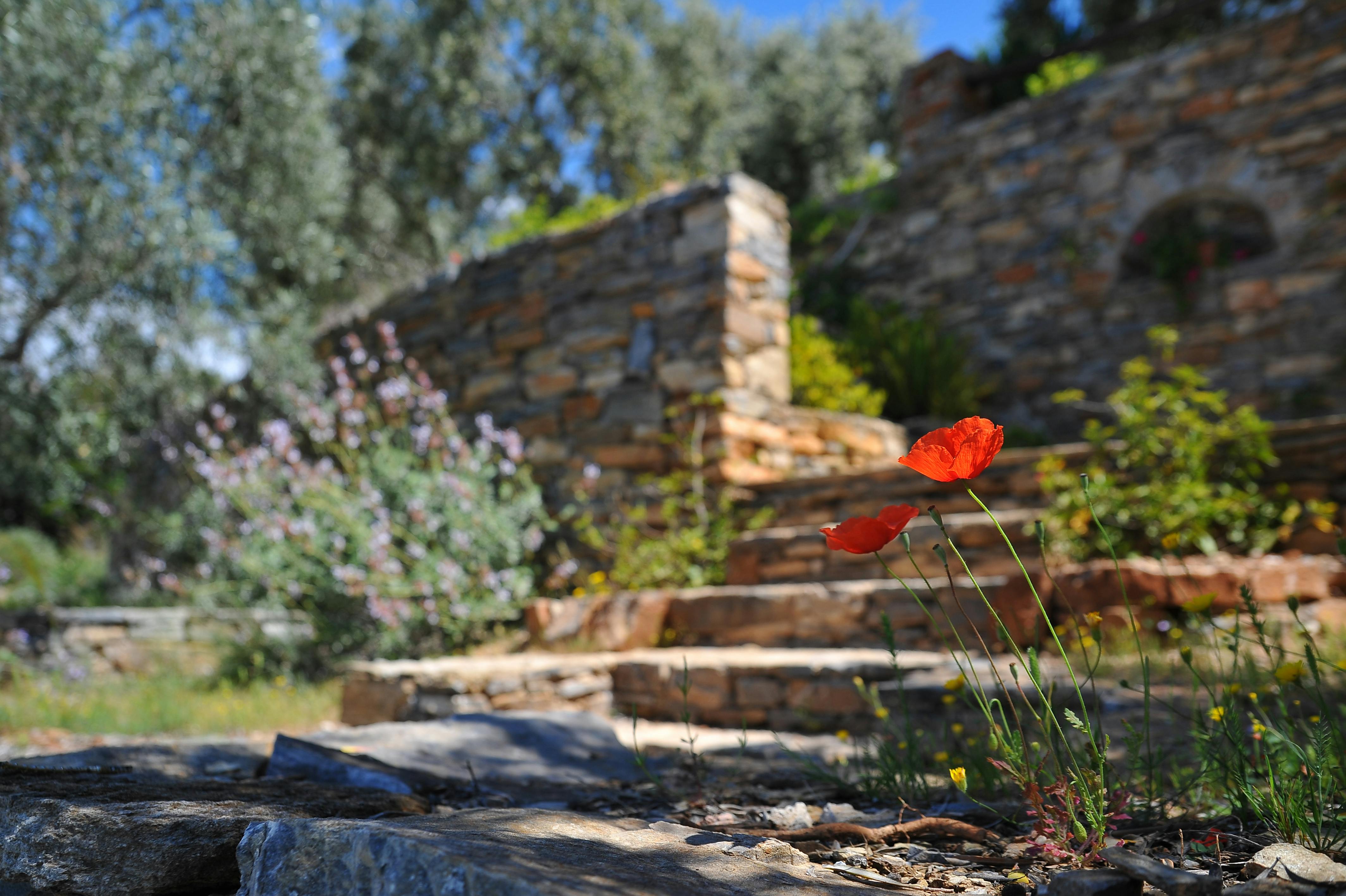 Outdoor Living Spaces That Sell: How To Boost Your Home's Value Before Fall header image.
