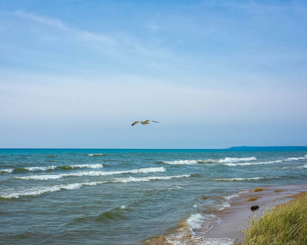 Why So Many People Love Calling West Michigan Home header image.