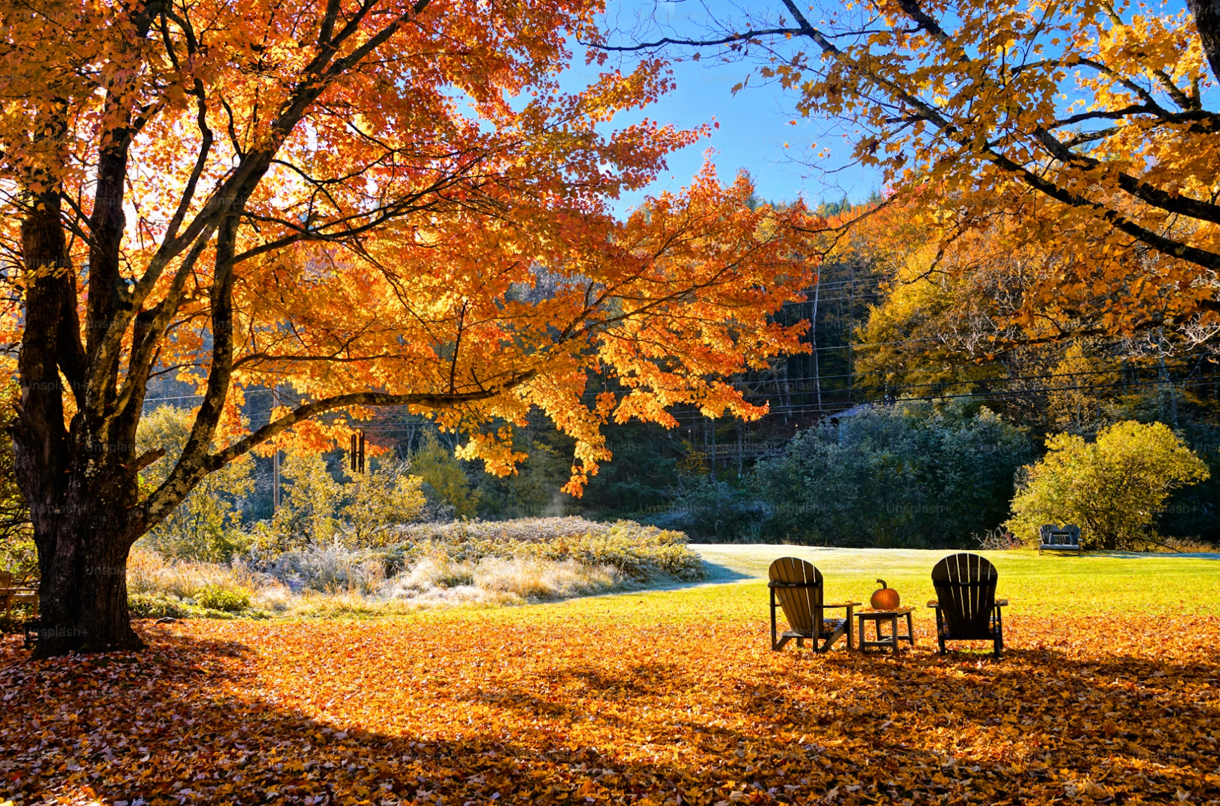 Don't Fear the Fall Market: Why October is a Strategic Time to Buy or Sell in West Michigan header image.
