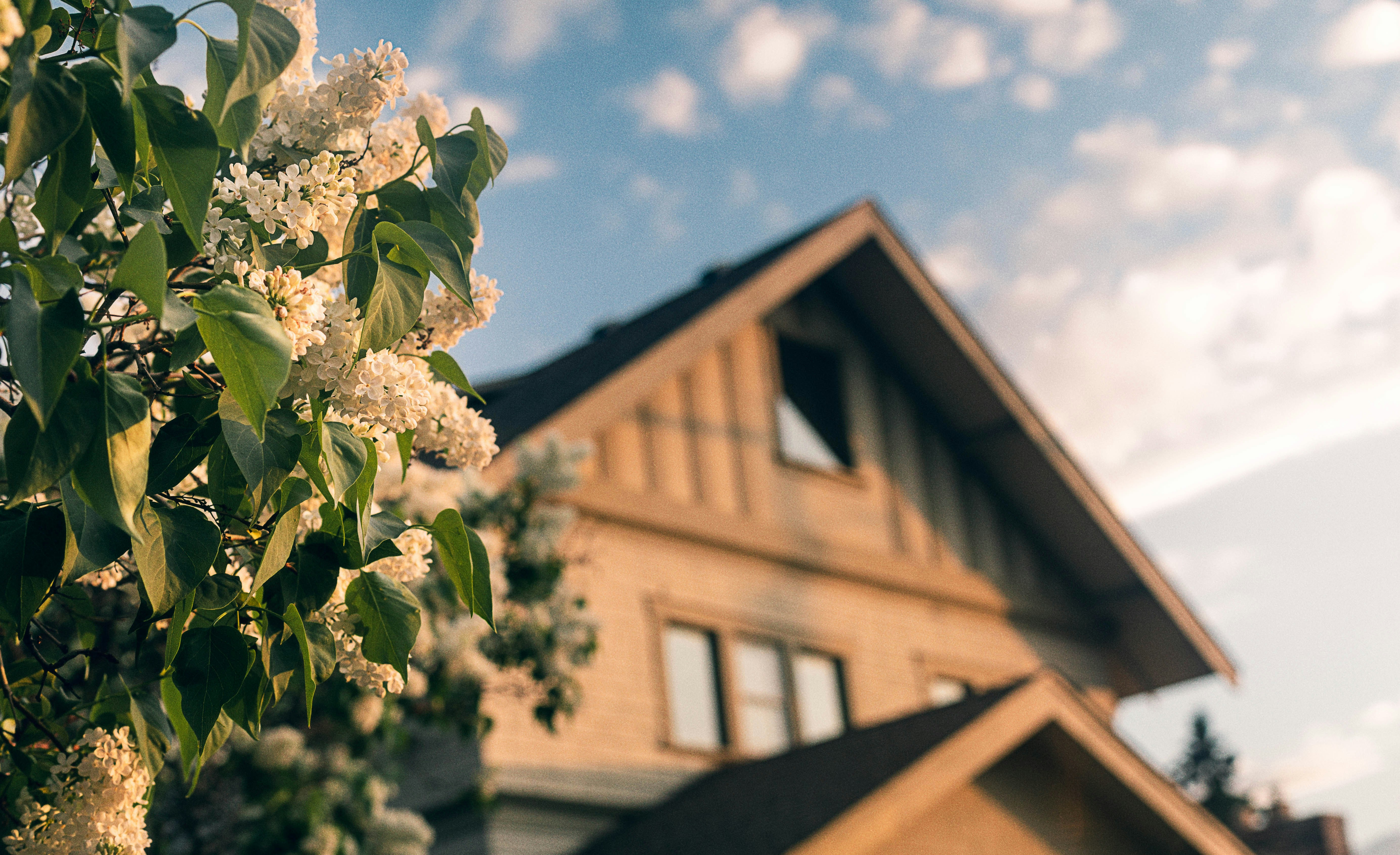 5 Things Buyers Are Prioritizing in Summer 2026 header image.