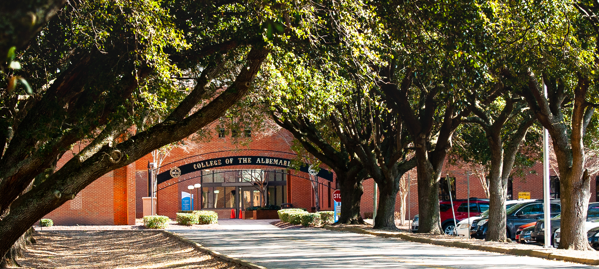 Building Community Through Connection: Inside the COA Alumni Association with Jessica Shreaves header image.