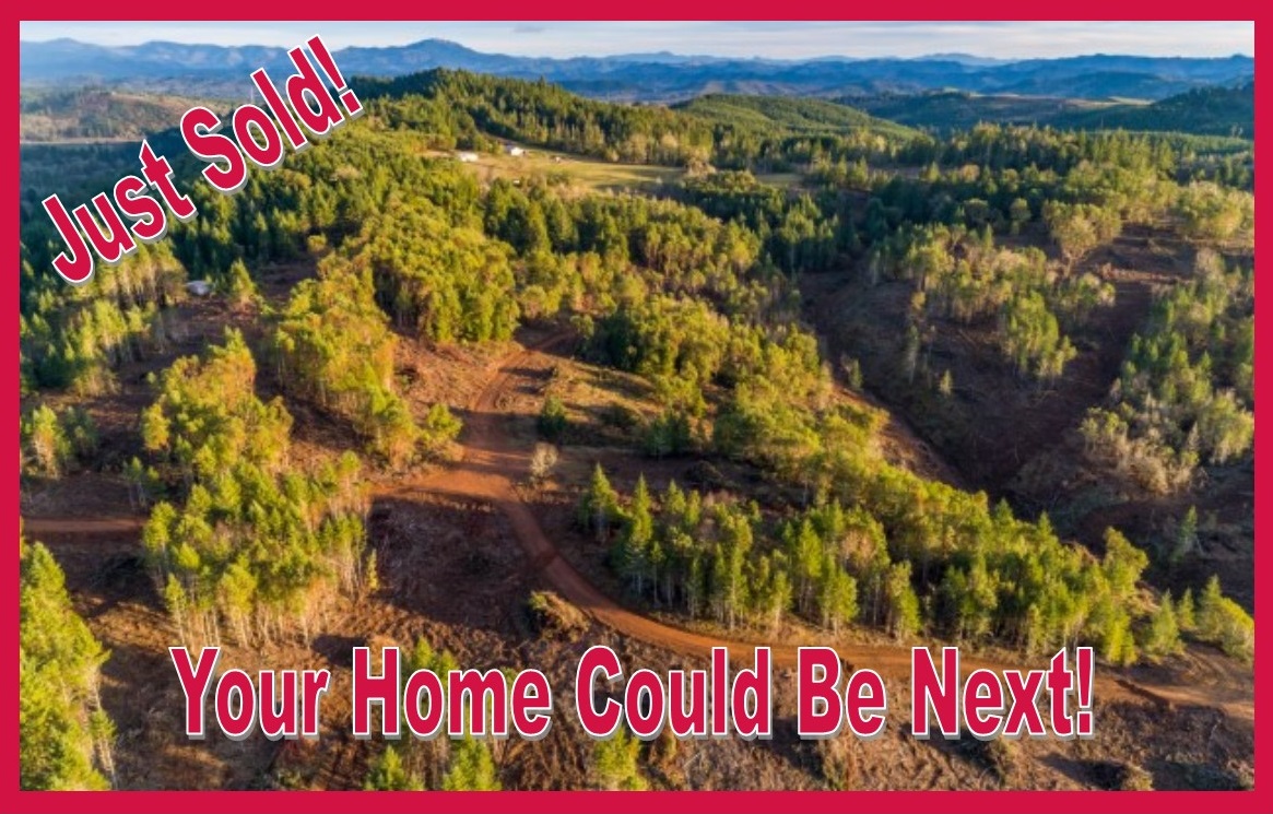 1542 Indian Creek Drive: Nearly 60 Acre Parcel to Build Your New Home header image.