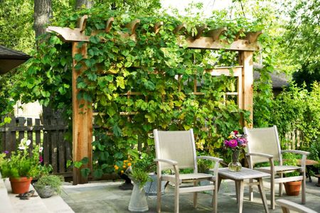 Ideas for Shading Your Outdoor Living Areas header image.
