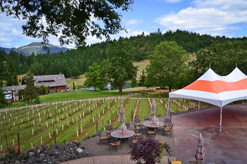 Exploring Roseburg Oregon: Reustle Prayer Rock Vineyards header image.