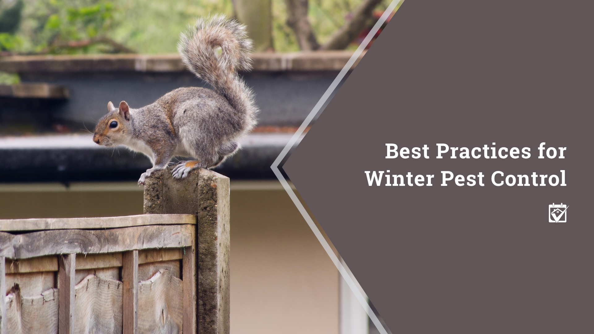 Best Practices for Winter Pest Control header image.