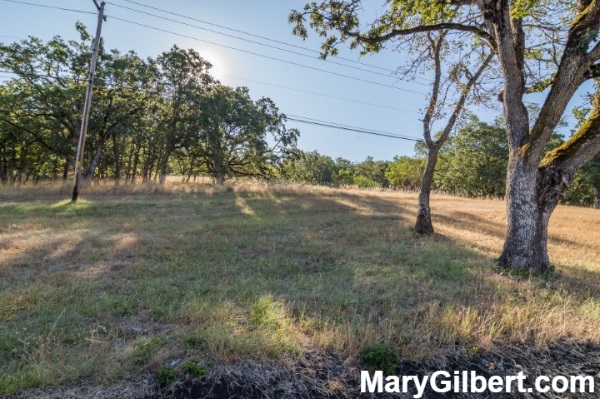 0 NE Stephens St: Exciting Development Opportunity! header image.