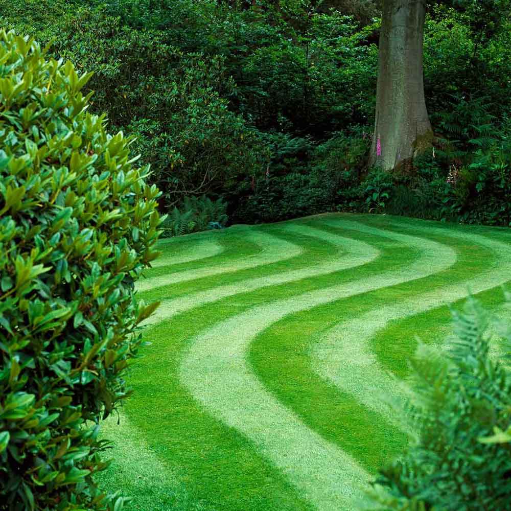 Have a Green Lawn with Less Work header image.