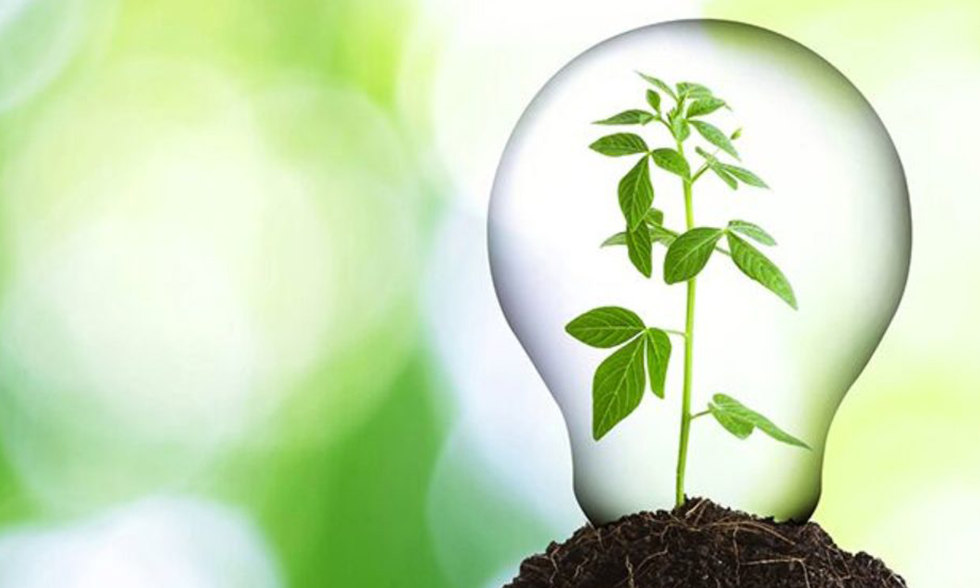 Small Steps Towards Going Green this Year! header image.