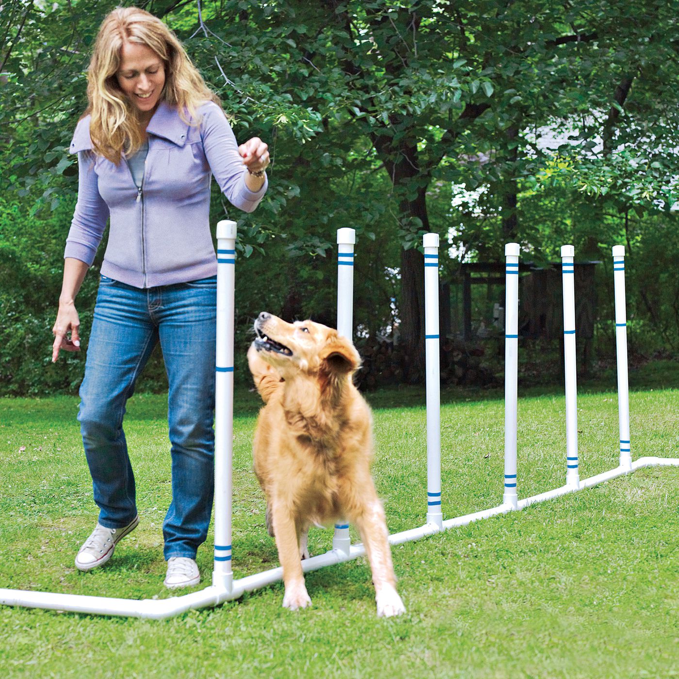 DIY Pet Project Ideas header image.