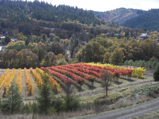 Exploring Roseburg Oregon: Creative Thursdays at Triple Oak Wine Vault header image.