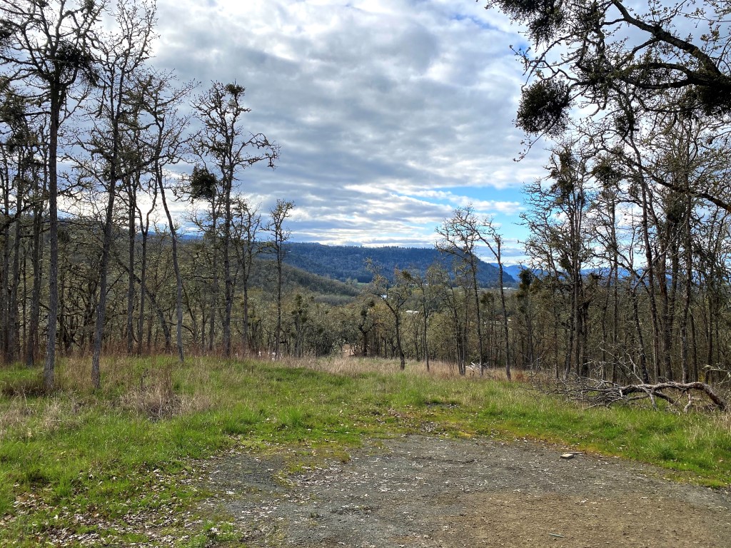 Beautiful Westside Roseburg OR Building Lot! header image.