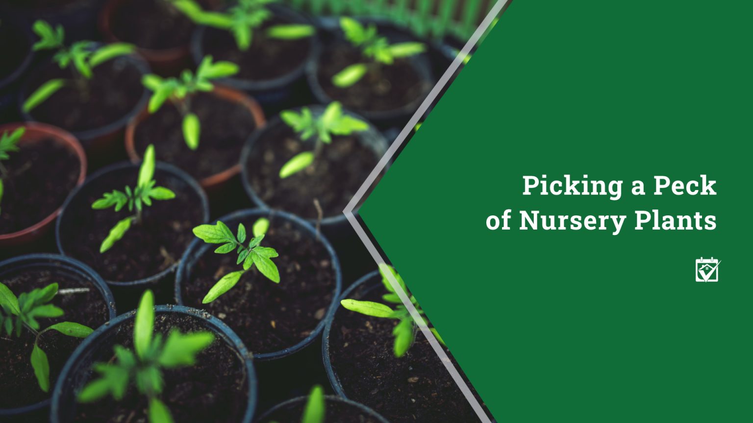 Picking a Peck of Nursery Plants header image.