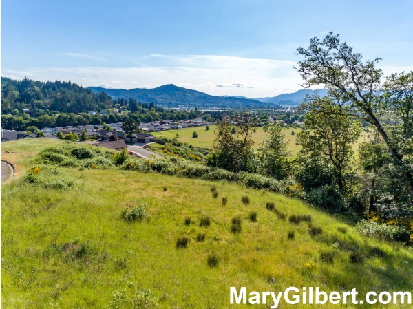 705 Valley Vista St: Beautiful Building Lot in Cooper Creek Estates! header image.