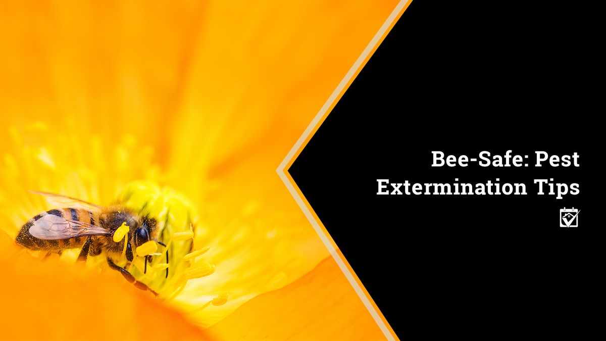 Bee-Safe: Pest Extermination Tips header image.