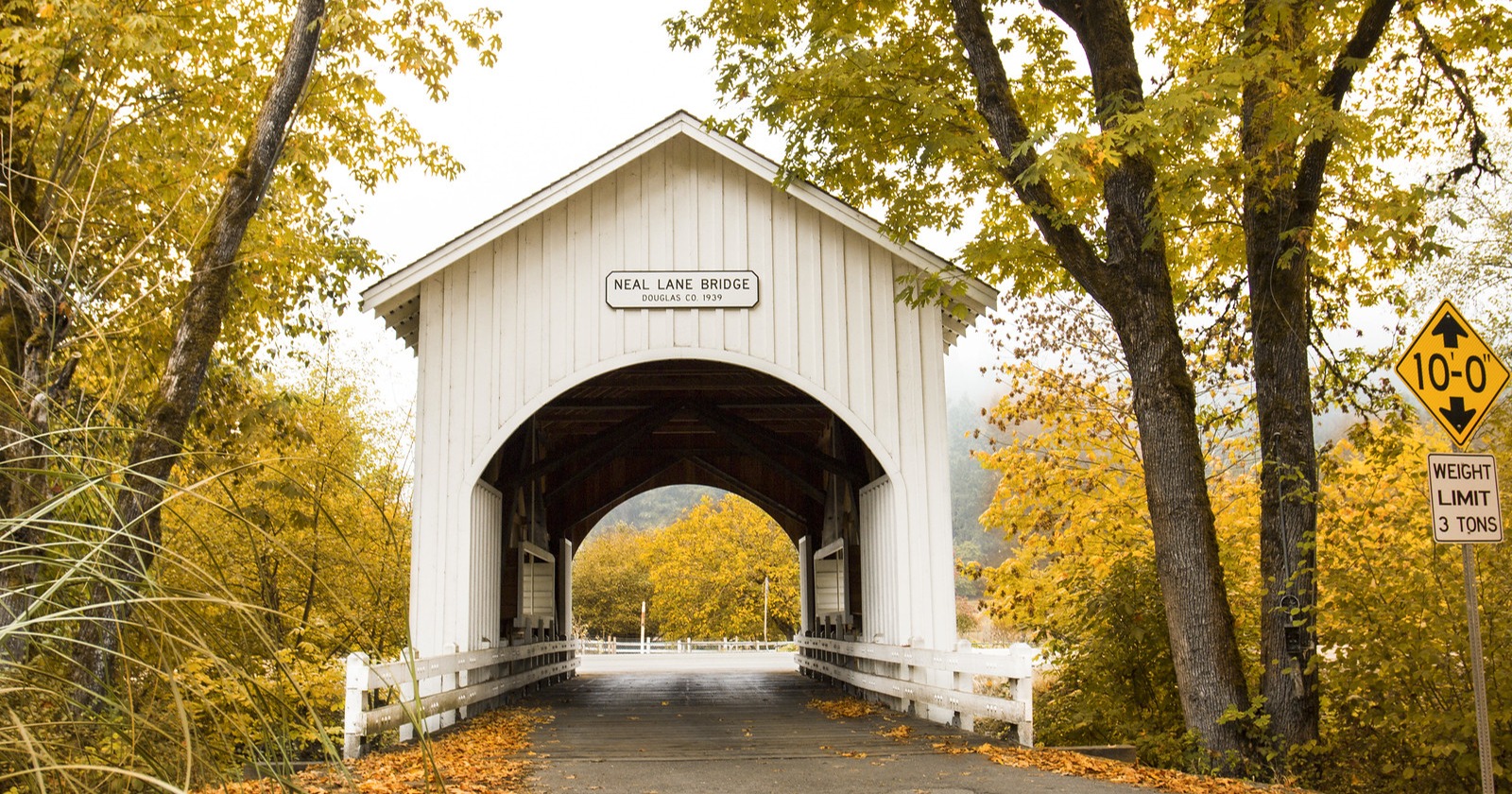 Golden autumn foliage around Neal Lane covered bridge in Douglas County, Oregon