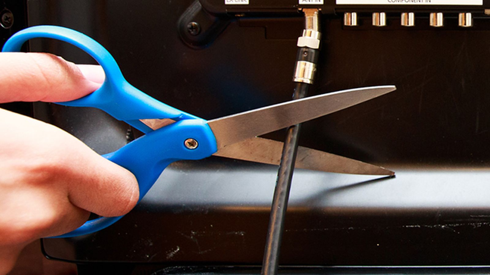 Cutting the TV Cable header image.